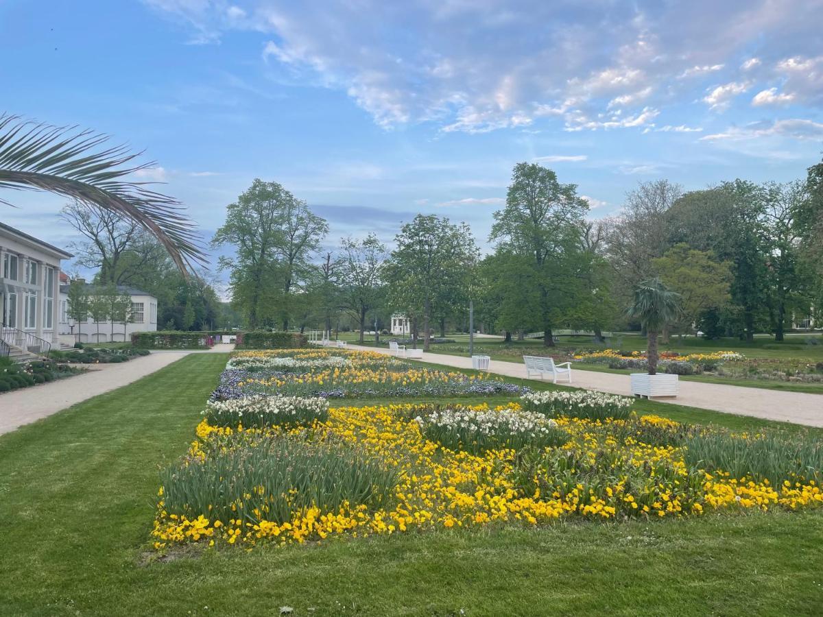 Villa Augusta Am Kurpark Bad Salzuflen Exteriör bild